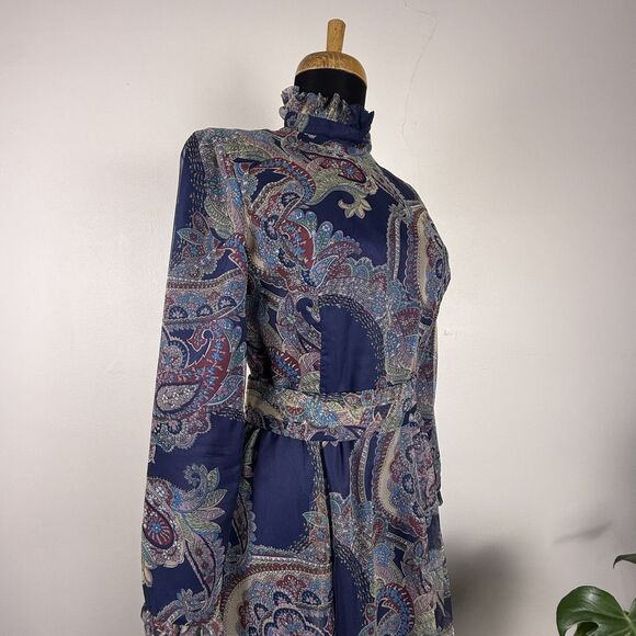 Vintage 70s Paisley Chiffon Maxi Boho Dress | High Neck Ruffle Collar - Picture 5 of 12